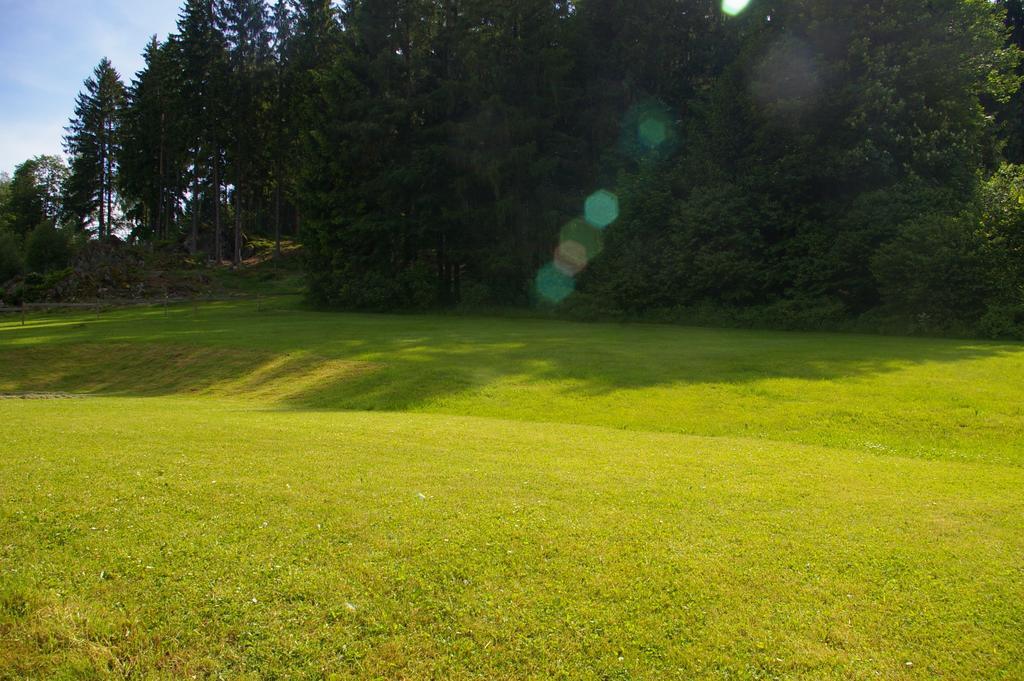 Penzion U Lipna Prední Vytoň Exterior foto